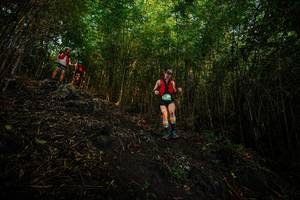 BIB: 
                            <button type="button" onclick="openModal(25099985)" class="btn btn-primary btn-sm float-right btn-popup" data-toggle="modal" data-target=".modal-high-quality">
                        <i class="fas fa-shopping-cart"></i> Add to Cart
                    </button>
                                            <button type="button" onclick="isThisMe(25099985, true)" class="btn btn-success btn-sm float-right btn-popup btn-isme hidden" data-toggle="tooltip" data-placement="bottom" title="นี่คือรูปของคุณใช่ไหม คลิกที่นี่เพื่อเอาเข้าอัลบั้ม">
                        <i class="fas fa-plus"></i> Add to album
                    </button>
                    <button type="button" onclick="isThisMe(25099985, false)" class="btn btn-warning btn-sm float-right btn-popup btn-isnotme hidden">
                        <i class="fas fa-ban"></i> Remove from album
                    </button>